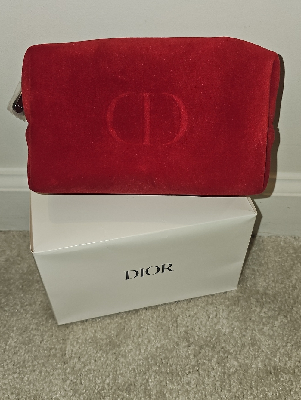 DIOR cosmetic Bag
